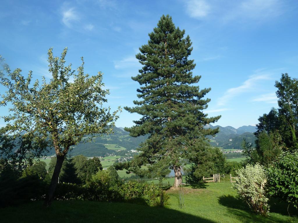 Pension Schoene Aussicht Kuchl Exterior foto