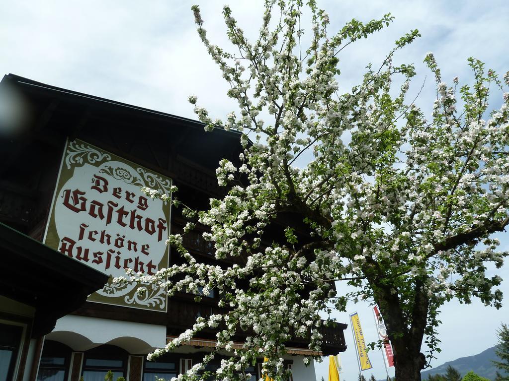 Pension Schoene Aussicht Kuchl Exterior foto
